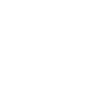 Turanville Shorthorns Bull Sale - Hunter Valley